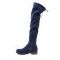 Жіночі ботфорти 137-3096-12